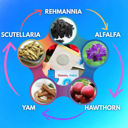 GlucoCare Blood Magnetic Sugar control Patches